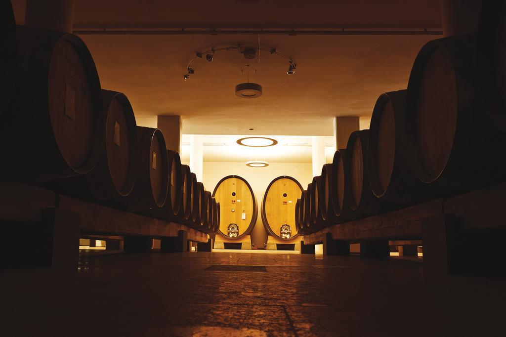 Roccafiore Wine Resort & Spa Todi Exteriér fotografie