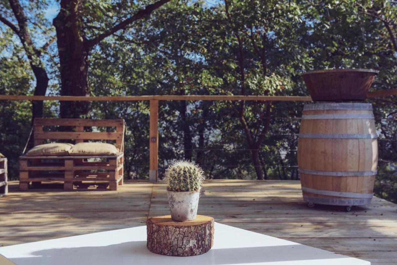 Roccafiore Wine Resort & Spa Todi Exteriér fotografie
